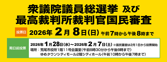 衆議院議員総選挙及び最高裁判所裁判官国民審査