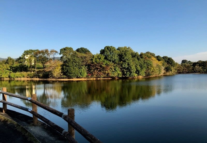 17.ふるさと自然公園.jpg