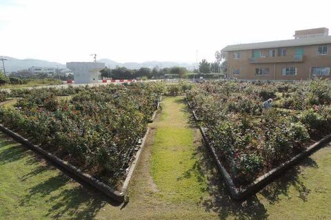 1全景SCN9796.jpg