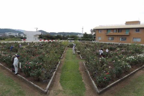 1竭_蜈ィ譎ッDSCN9792.jpg