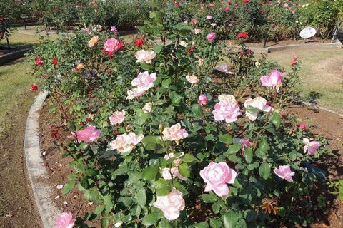 2SCN9861.jpg