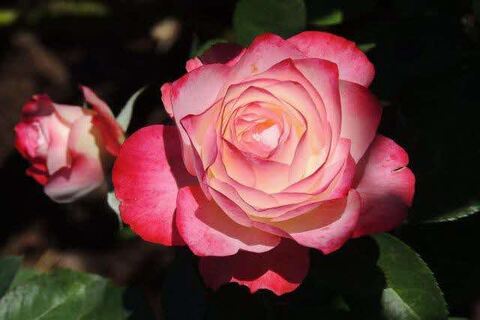 6DSCN9922.jpg