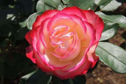 8DSCN0088.jpg