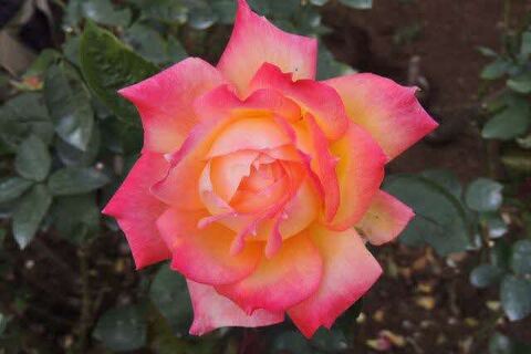 8DSCN9897.jpg