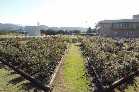 1全景DSCN9816.jpg