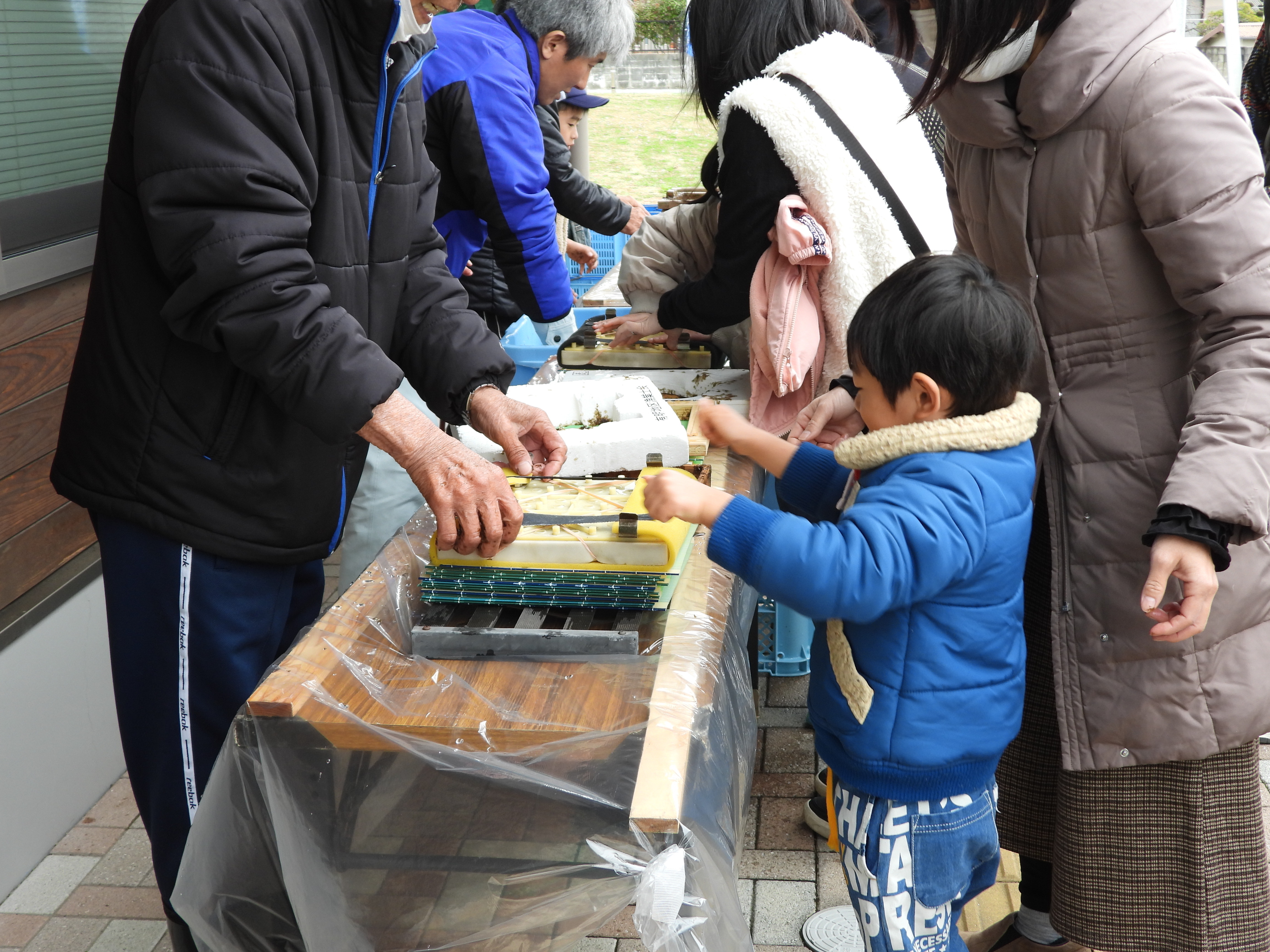 海苔の手すき体験の様子1