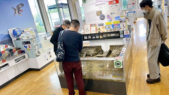 干潟湿地センター6 (1).jpg