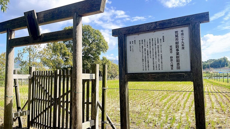 田んぼ1.jpg
