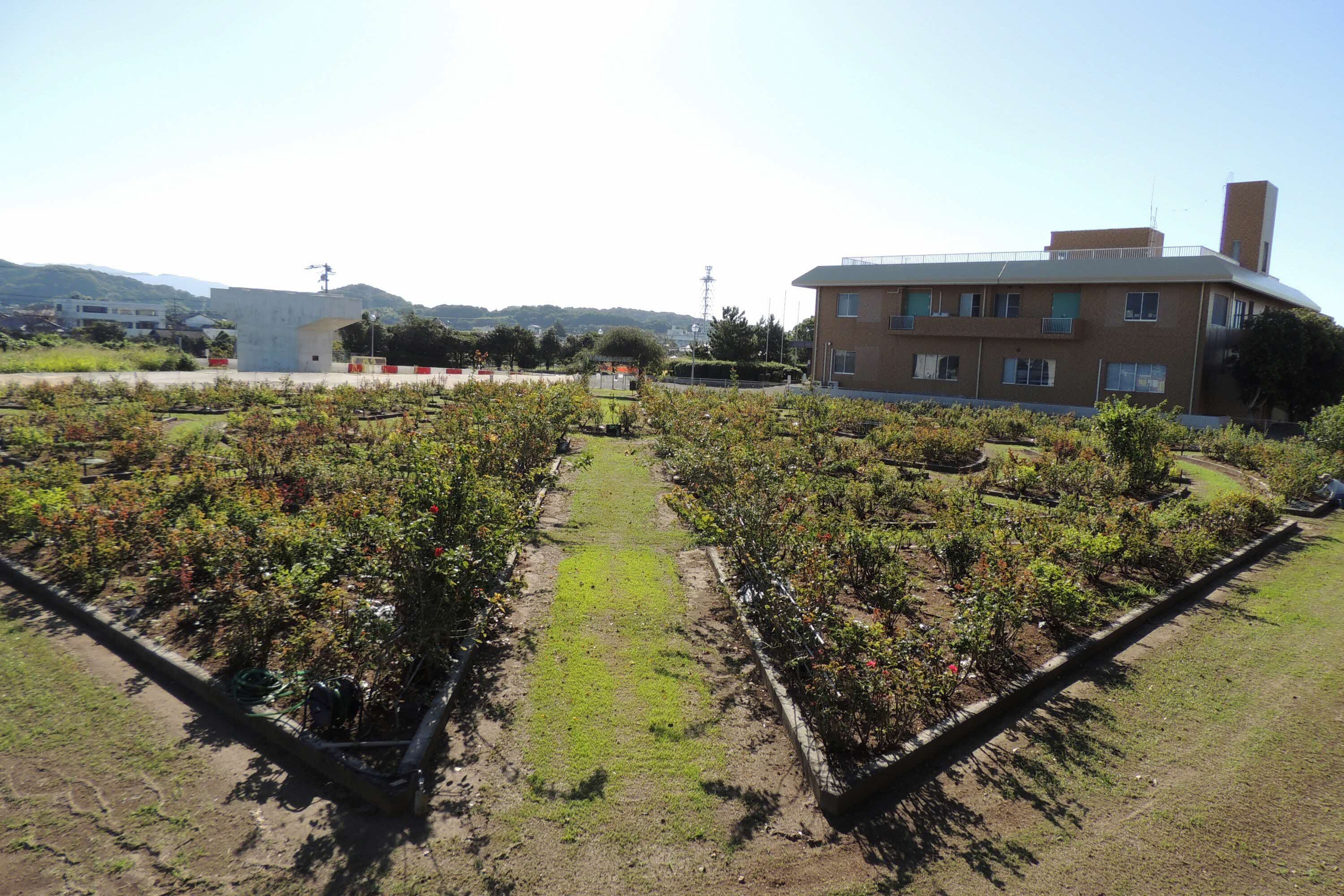 展望台からの全景写真