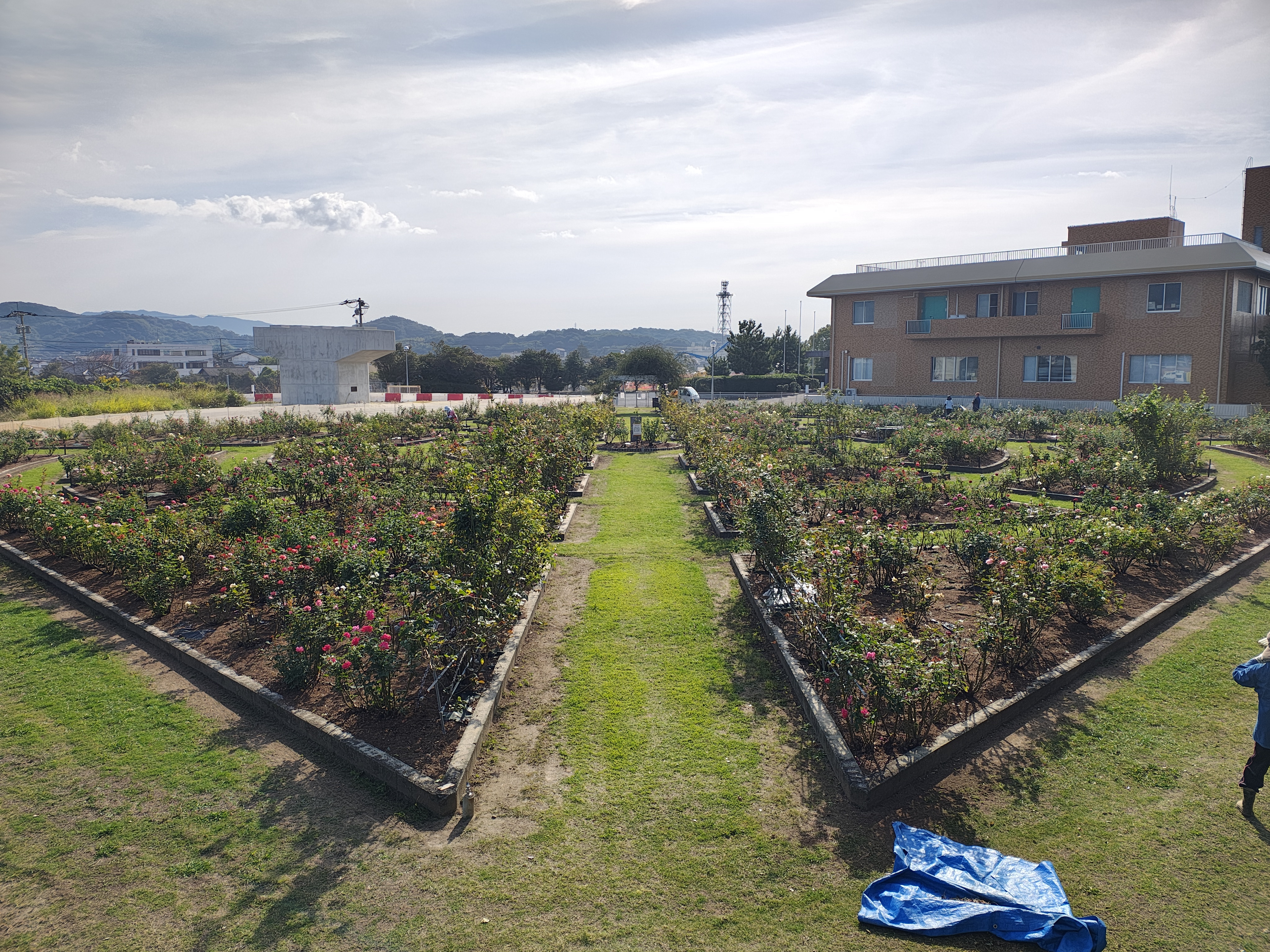 展望台からの全景