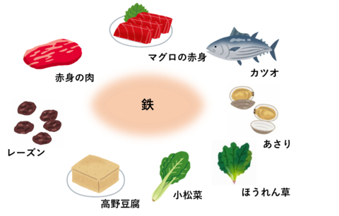 鉄を含む食品.png