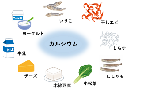 カルシウムを含む食品.png