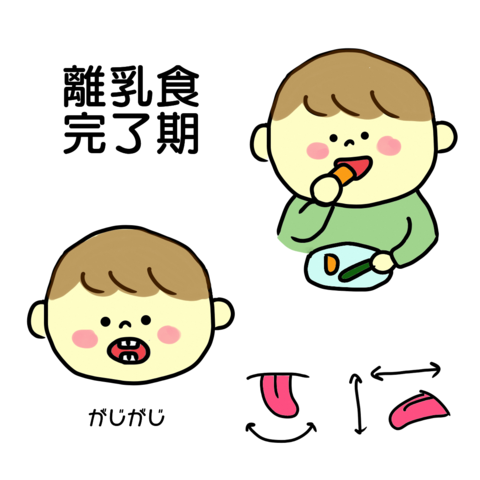 口の動き(完了期) (1).png