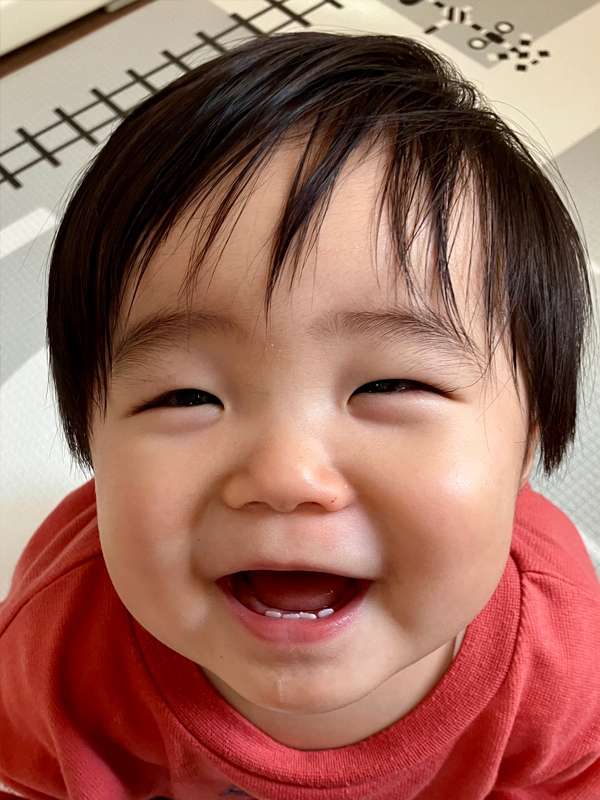 よこた たいせいちゃんの写真