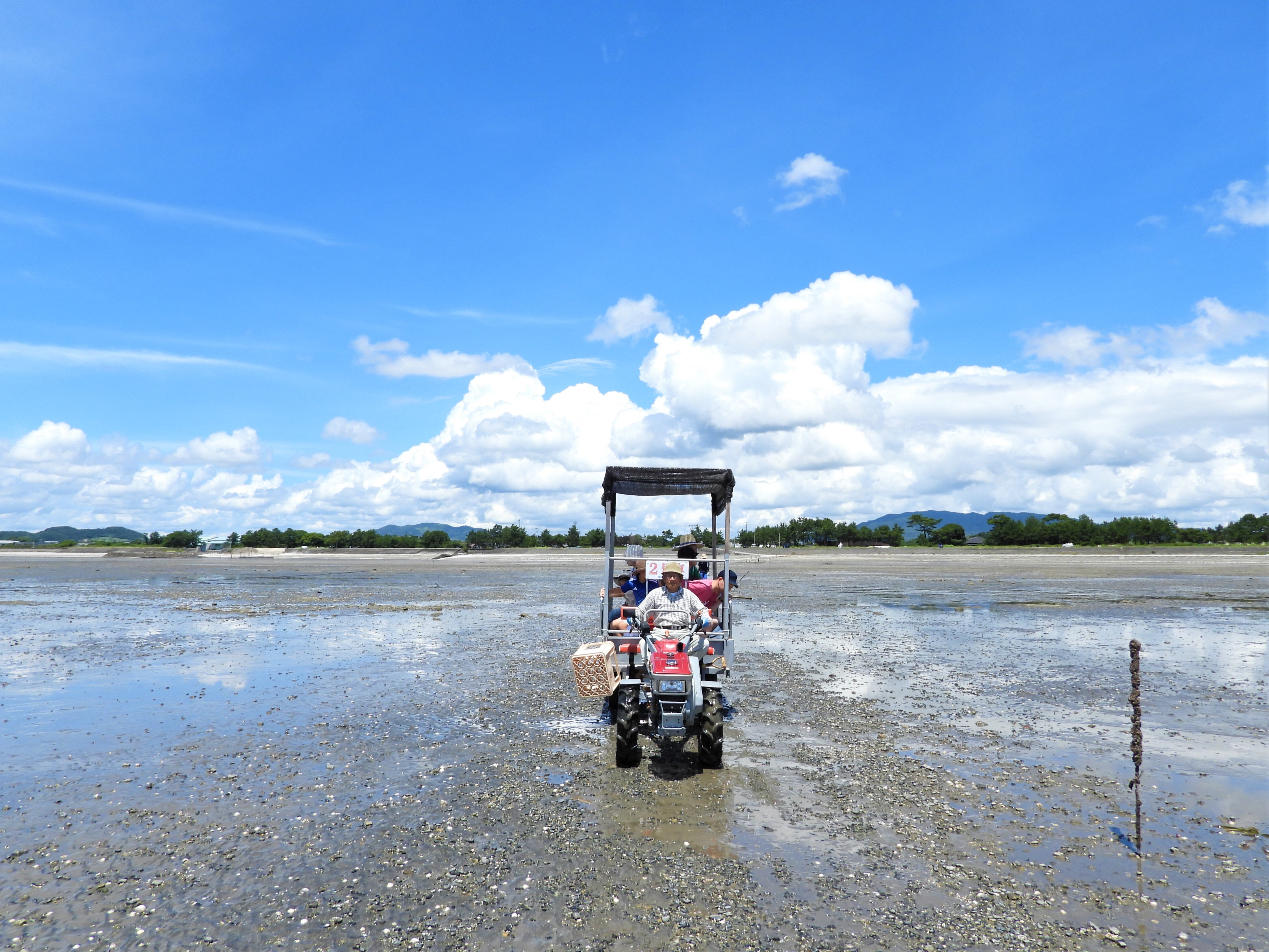 テーラー乗車体験