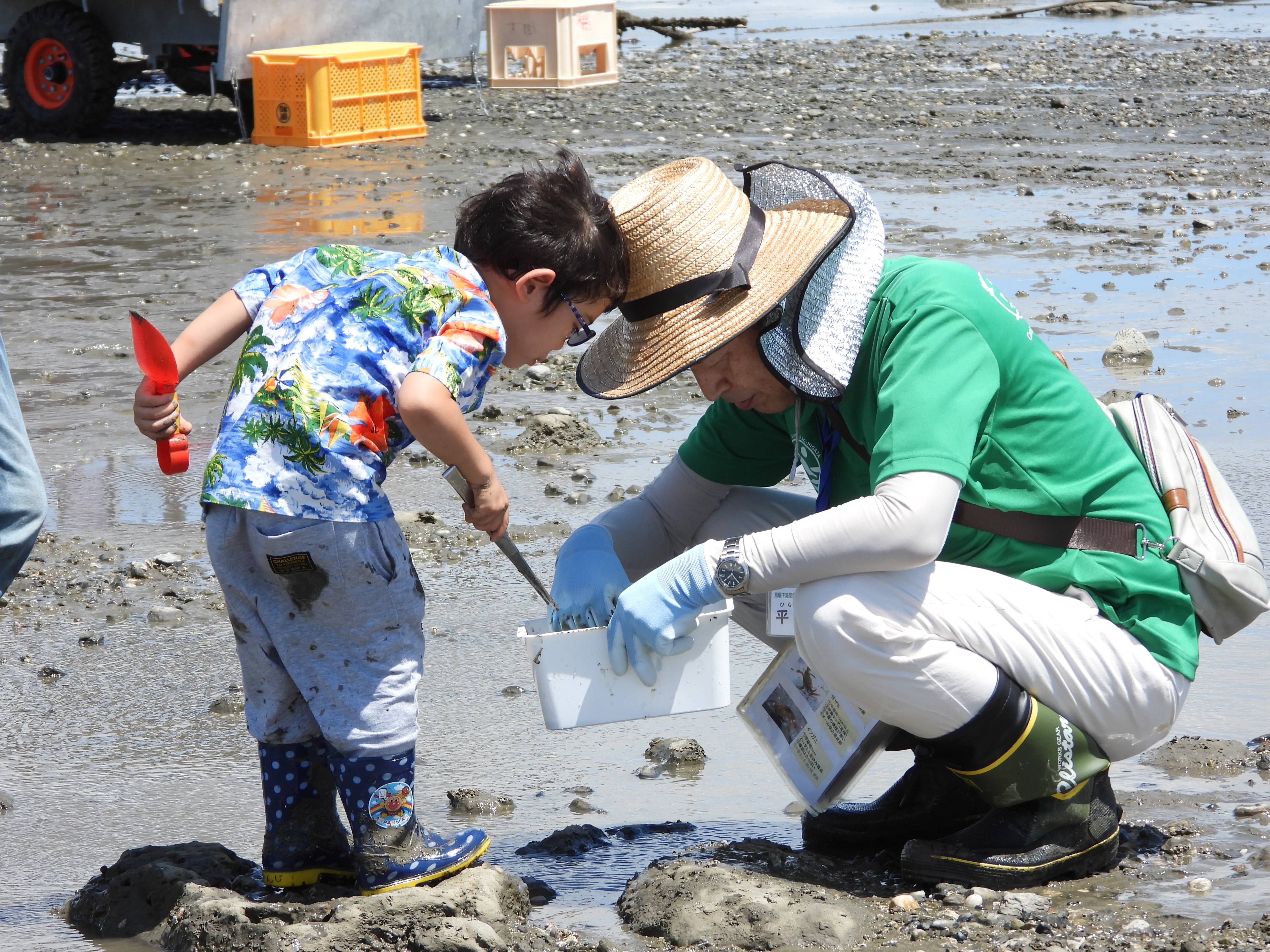 テーラー乗車体験