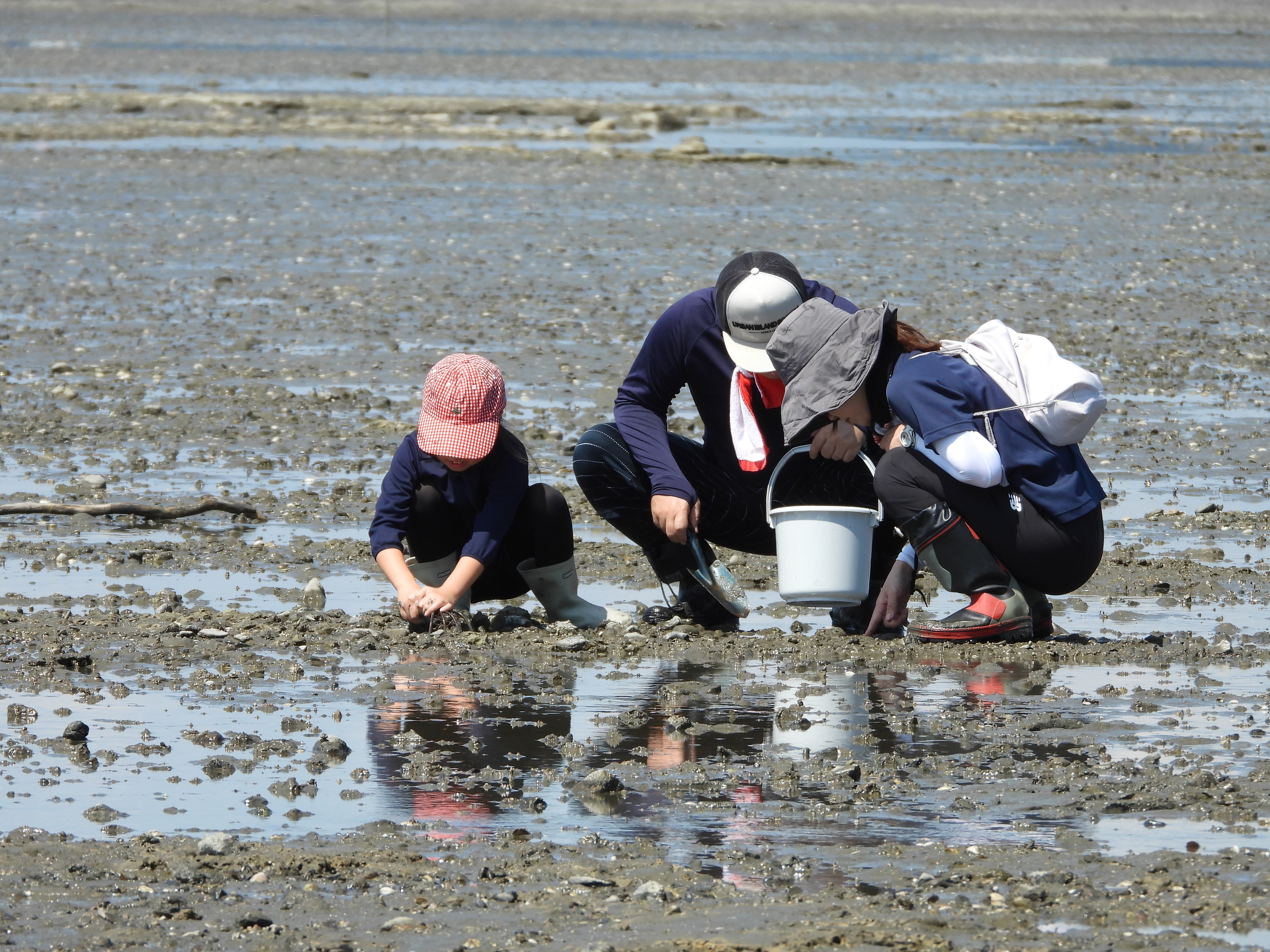 テーラー乗車体験