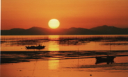 有明海の写真
