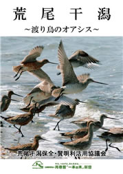 荒尾干潟～渡り鳥のオアシス～ の表紙の画像
