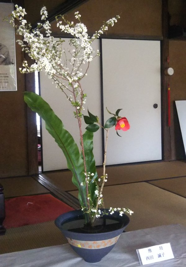画像ファイル：「作品3:一輪の椿を高く生け、ユキヤナギの枝と長い葉物を添えた作品の写真」の詳細を見る