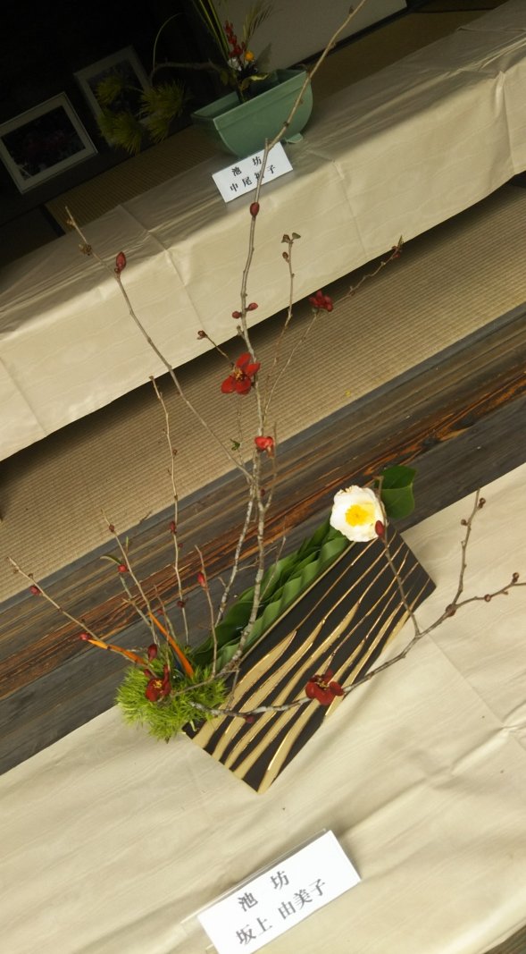 画像ファイル：「作品5:細長い口の花器に葉物を埋め、そこに白い椿を一輪あしらい、枝もので高さを出した作品の写真」の詳細を見る
