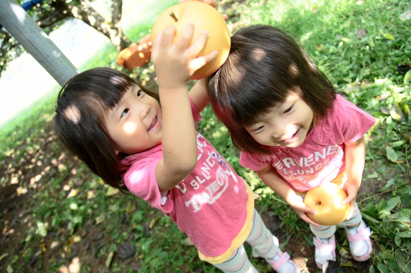双子の女の子が梨を持っている様子の写真