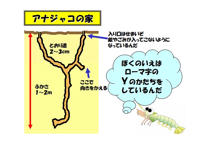 マジャク釣り一口メモ 荒尾市