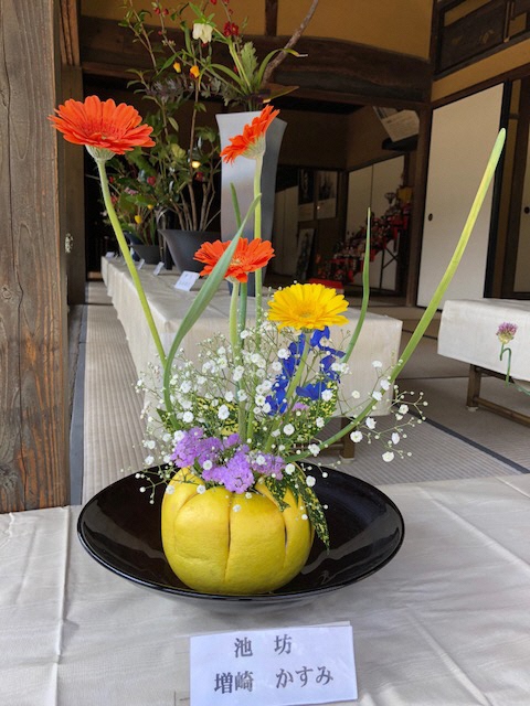 画像ファイル：「生け花展:柑橘類の実を花器に、オレンジ色のガーベラにカスミソウを足元にあしらった作品の写真」の詳細を見る