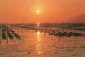 有明海の写真
