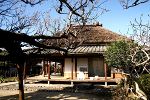 画像:三景 宮崎兄弟の生家(梅の花)