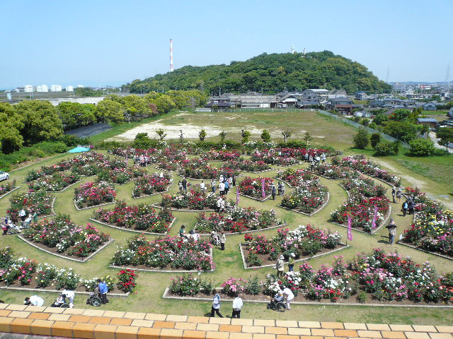 おもやい市民花壇の全体写真